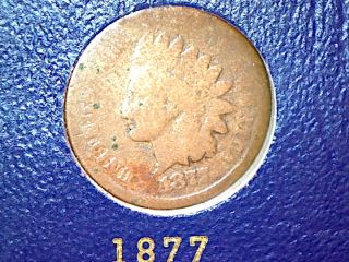 1877ag/g Indian Head Cent,  Key,  Hard To Find Date photo