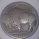 1921 - S (vg) Buffalo Nickel Nickels photo 1