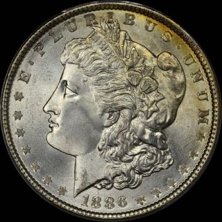 1886 $1 Morgan Dollar Pcgs Ms66+ (cac) photo