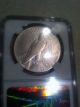 1934 - S Key Date Peace Silver Dollar,  Ngc Fine Details Cleaned Dollars photo 3