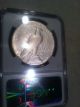1934 - S Key Date Peace Silver Dollar,  Ngc Fine Details Cleaned Dollars photo 5
