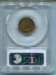 1873 Indian Head Cent Open 3 Pcgs Vf - 35 Small Cents photo 1