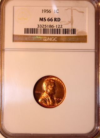 1956 Lincoln Cent Ngc Ms 66 Rd Unc Red Gem - Registry Quality photo