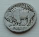 1913 S Type 1 Variation Buffalo Nickel,  Coin See Pictures Nickels photo 1