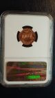 1970 S Proof Large Date Ngc Pf 67 Rd Lincoln Penny Cent Red Gem Coin Pr67 Small Cents photo 1