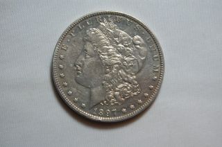 1897 Morgan Dollar Grey Proof Attractive And Well Struck photo