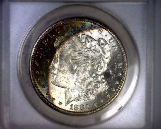 Ms62 Anacs Beautifully Toned 1881s Morgan Silver Dollar U.  S.  Coin 1881 S photo