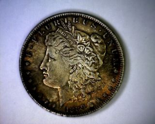 Beautifully Toned 1889 Morgan Silver Dollar Coin photo