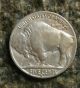 1929 - S Buffalo Nickel Full Horn Coin Nickels photo 1