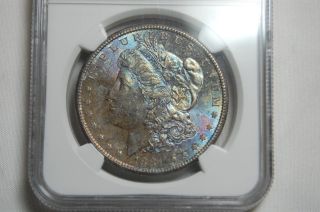 1881 S Morgan Dollar Ngc Ms66 Proof Like And Gorgeous Toning On Both Sides photo