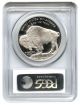 2001 - P Buffalo $1 Pcgs Proof 70 Dcam Modern Commemorative Silver Dollar Commemorative photo 1