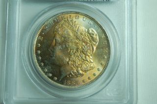 1884 O Morgan Dollar Pcgs Ms66 Magnificent Gold Toning On Obverse photo