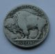 1921 S Buffalo Nickel,  Coin See Pictures Nickels photo 1
