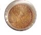 1882 $5 Five Dollar Liberty Head Half Eagle Gold Coin Variety 2 Gold photo 1