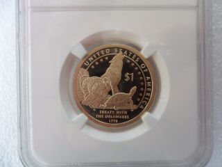 2013 Treaty With The Delawares Early Release Pf69 Ultra Cameo Sacagawea photo