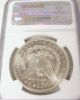 1921 P Morgan Silver Dollar Ms 63 Ngc Unc Philadelphia Usa Brown Label Coin Dollars photo 2
