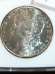 Ngc 1882 Ms62 Morgan Silver Dollar Slab Dollars photo 2
