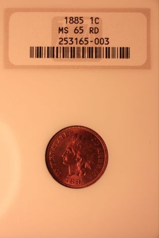 1885 Indian Cent Ngc Ms65 Rd Pq++ Certified Key Date Choice Gem Bu photo