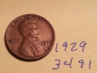 1929 Lincoln Cent Fine Detail Great Coin (3491) Wheat Back Penny photo