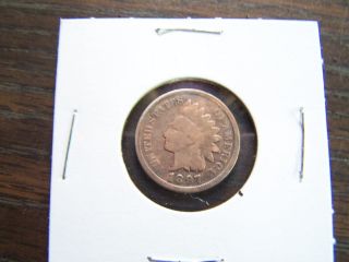 Awesome Rare 1897 Indian Penny One Cent Very Fine Proof Like photo
