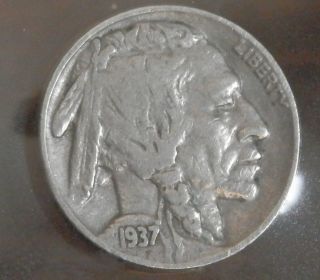 1937 Buffalo Nickel photo