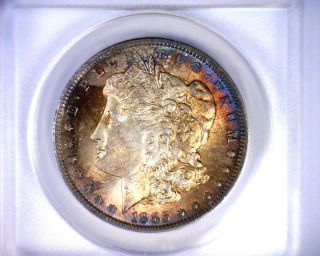 Ms62 Anacs Beautifully Toned 1885o Morgan Silver Dollar U.  S.  Coin 1885 O photo