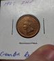 1905 Gem Bu Red Indian Head Cent Small Cents photo 2