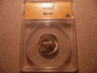 1938 D Buffalo Nickel Coin Anacs Ms 65 photo