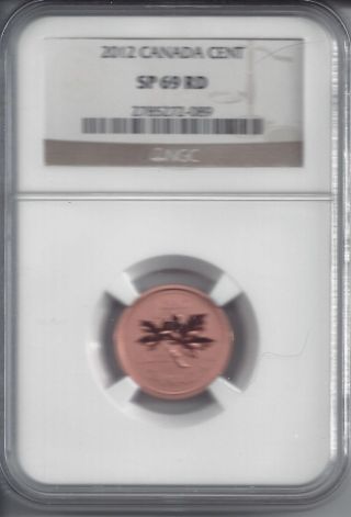 2012 Canada Specimen Cent - Sp69 - Ngc - Magnetic Great Specimen - Last Year Of Issue photo