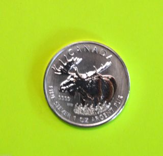 2012 Pure (. 9999) Silver Canadian - Moose - 1 Oz Coin - Limited Mintage photo