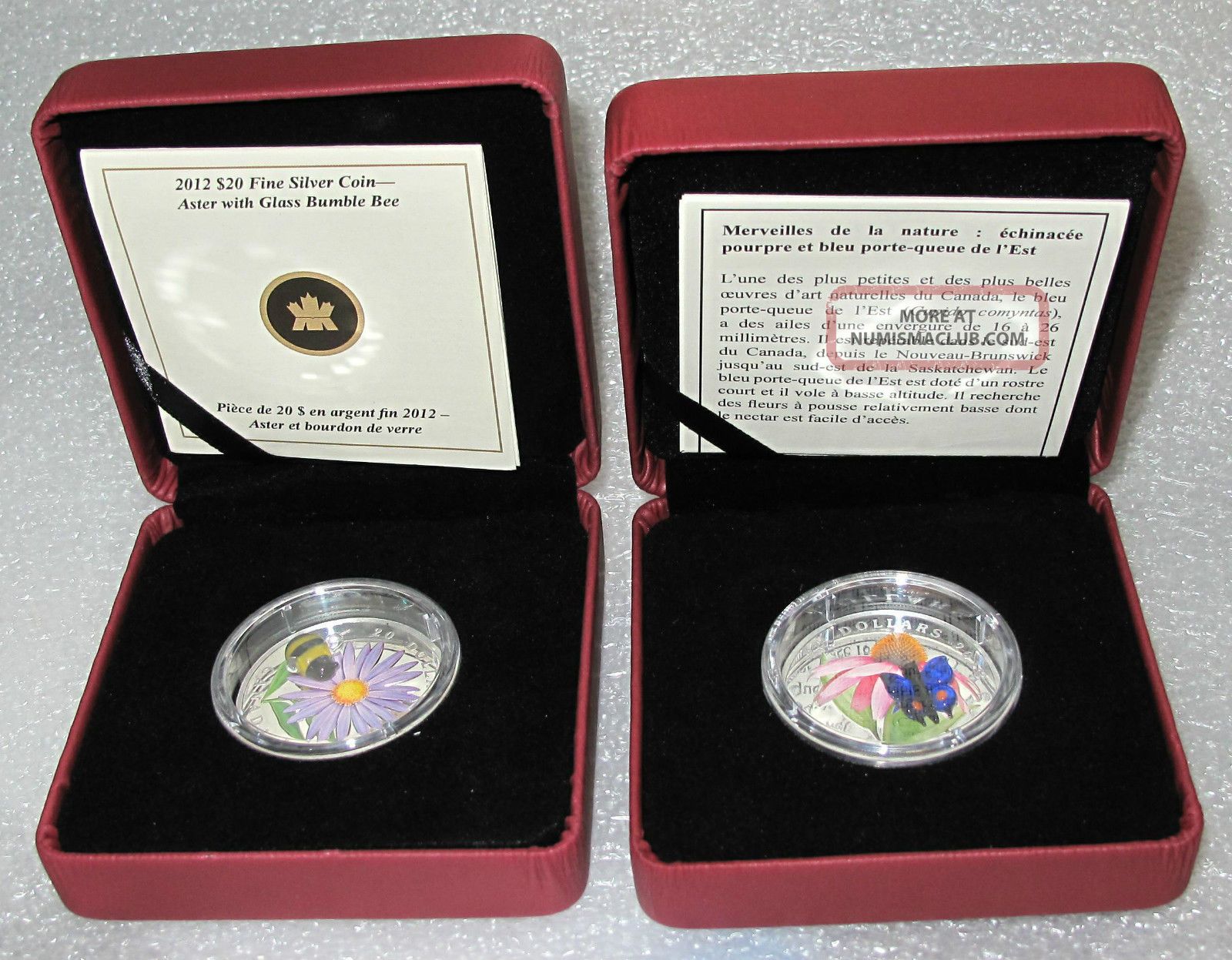 2012 - 2013 Canada Butterfly Silver $20 Dollars Venetian Glass Bumble Bee Coins: Canada photo