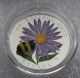 2012 - 2013 Canada Butterfly Silver $20 Dollars Venetian Glass Bumble Bee Coins: Canada photo 5