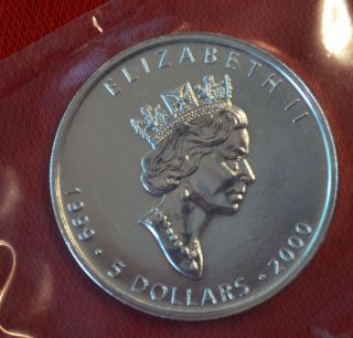 1999 / 2000 Canadian Maple Leaf Millennium Privy 1oz.  9999 Silver Coin photo