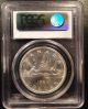 1965 Canadian Canada Silver Dollar Pcgs Ms64 Type 2  06993790 Coins: Canada photo 1