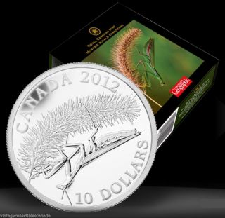 Canada 2012 $10 Praying Mantis,  Fine.  9999 Silver Coin,  Mintage 7,  500 - No Tax photo