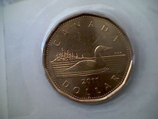 2011 Canada Loonie In Wrap photo