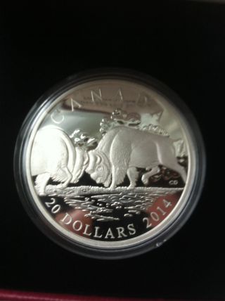 2014 Canada $20 Fine Silver - Bison: The Fight photo
