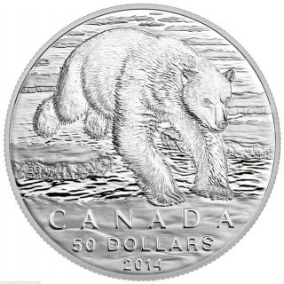 Canada 2014 $50 Polar Bear,  Fine.  9999 Silver,  First Coin Of Series,  No Tax photo