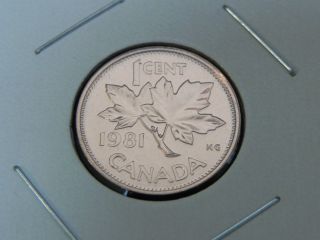 1981 Bu Pl Red Canadian Canada Maple Leaf Elizabeth Ii Penny One 1 Cent photo