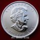 Silver Coin 1 Oz 2013 Canada Canadian Maple Leaf.  9999 Fine 25th Anniversary Bu Coins: Canada photo 1