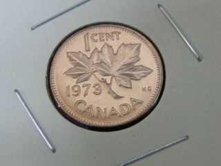 1973 Specimen Red Canadian Canada Maple Leaf Elizabeth Ii Penny One 1 Cent photo