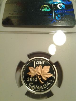 2012 Canada Silver Cent Ngc Pf69 Ucam Proof Gold Gilted Maple Leaf photo