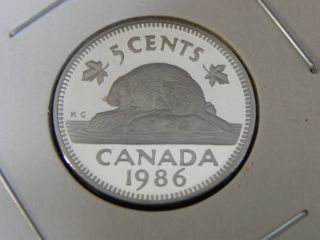 1986 Proof Unc Canadian Canada Beaver Nickel Five 5 Cent photo