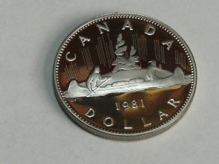 1981 Canadian One Dollar Proof 7843ab photo