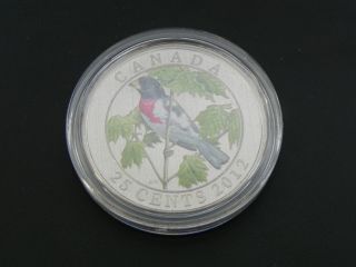 2012 Canadian Canada Bird Series Rose - Breasted Grosbeak Quarter 25 Cent photo