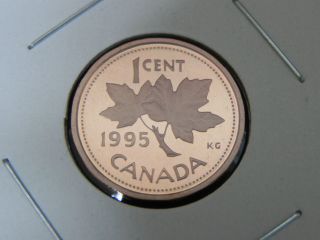 1995 Proof Unc Canadian Canada Maple Leaf Penny One 1 Cent photo