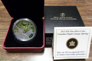 2013 $20 Fine Silver Coin Canadian Maple Canopy Spring (mintage 7,  500) photo