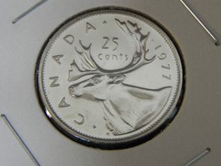 1977 Specimen Unc Canadian Canada Caribou Quarter Twenty Five 25 Cents photo