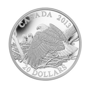 1 Oz.  Fine Silver Coin - Mother Protecting Her Eaglets - Mintage: 7,  500 (2013) photo