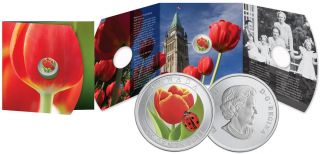 2011 Canada 25 - Cent Tulip With Ladybug Colored Coin - photo
